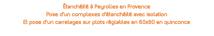 Étanchéité à Peyrolles en Provence Pose d'un complexes d'étanchéité avec isolation Et pose d'un carrelages sur plots réglables en 60x60 en quinconce 
