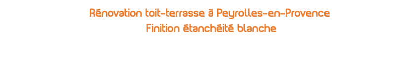 Rénovation toit-terrasse à Peyrolles-en-Provence Finition étanchéité blanche