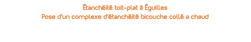 étanchéité toit-plat à Éguilles Pose d'un complexe d'étanchéité bicouche collé a chaud